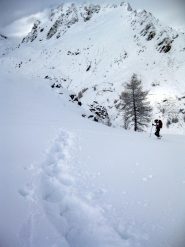 molta neve fresca