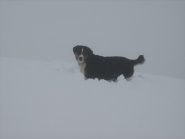 Raul felice nella neve