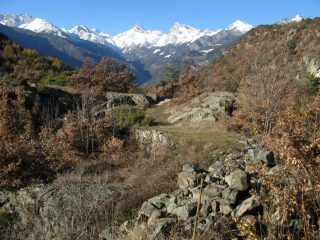 Colpo d'occhio sull'Avic