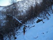 Il ripido e fitto bosco del primo salto