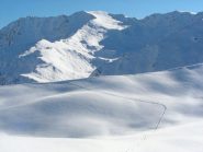 Terra Nera