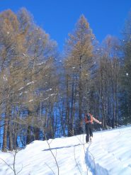 Beppe mi precede già dal bosco iniziale