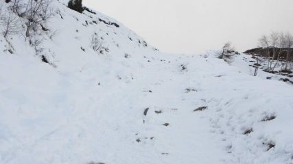 più sù la cosa non migliora