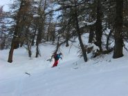 SuperFranco nei tratti di bosco