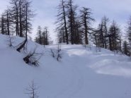 Salendo alla Cimetta