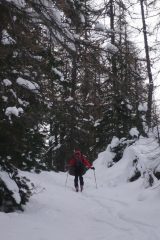 Prima parte nel bosco