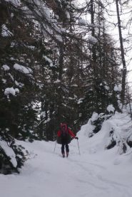 Prima parte nel bosco
