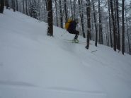 salto stiloso