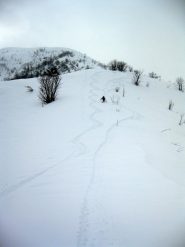 neve da panico