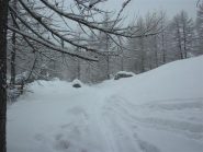 Nevicata