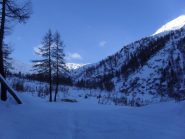 all'uscita dal bosco