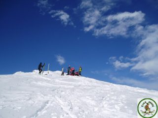 in cima