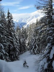 scorcio panoramico durante la discesa