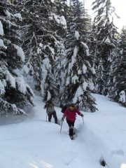 riprende la salita tracciando un bel solco nel bosco