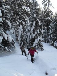 riprende la salita tracciando un bel solco nel bosco