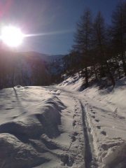 la traccia dello skyalp