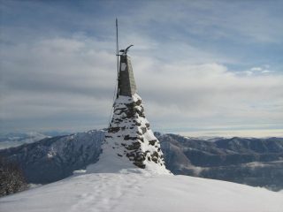 L'aquila