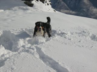 Il Raul 