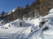 alla partenza su traccia bivalente(sci-racchette)