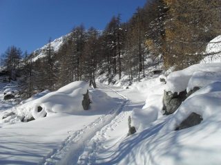 alla partenza su traccia bivalente(sci-racchette)