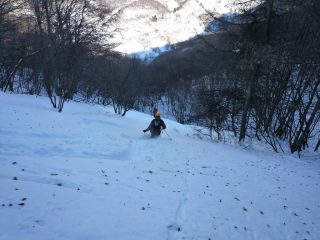 verso il fitto