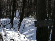 Particolare del percorso MTB