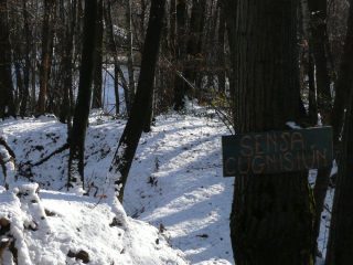 Particolare del percorso MTB