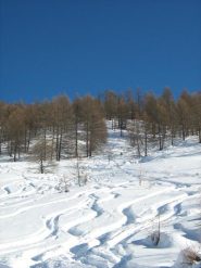 tracce di discesa
