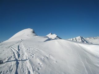Vetta