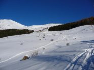 pendii del Riba Gias