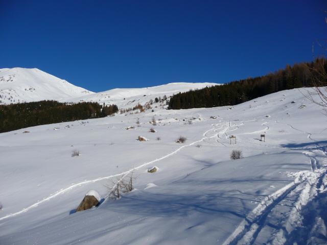 pendii del Riba Gias