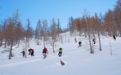 nel bosco, battitura con tanta farina