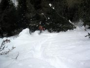 si entra nel bosco