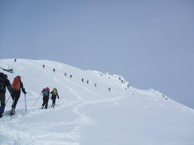 siamo in buona compagnia