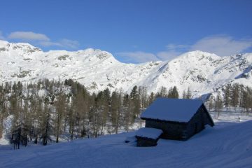 Farina nell' ombra