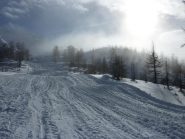 Giochi di luce e foschia