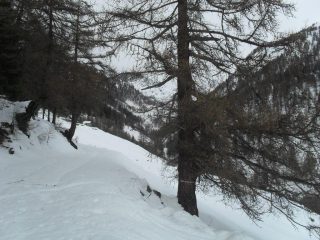 sullo sfondo l'alpe Seyvaz