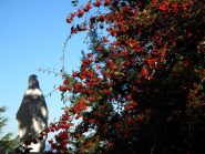 La Madonna della Guardia