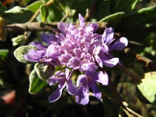 Autunno, primavera...