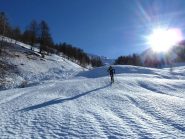 Usciti dal bosco