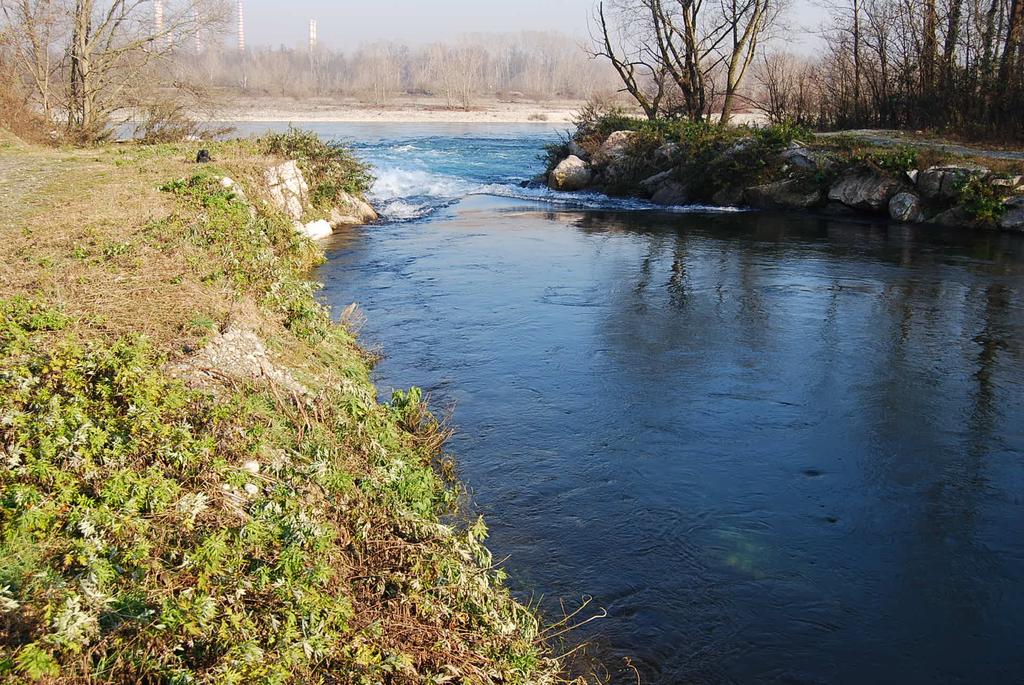 Il punto in cui il Canale Cavour, o meglio il suo scolmatore, termina la sua corsa.