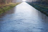 Il Canale Cavour a Cameri, dal ponte di Via Marè. Sullo sfondo il ponte sulla strada Bellinzago-Galliate; a destra il percorso ciclabile