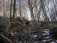 Mulattiera a gradini e splendida faggeta