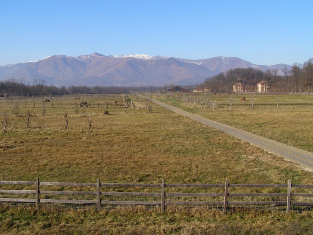 Pascoli della Mandria