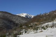 Monte Croce dall'Alpe Camasca