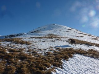 nosi sfida il vento. qui a 20mt dalla fine abbandono. l