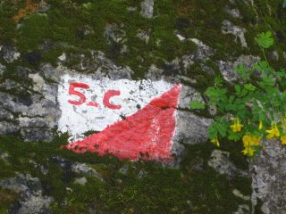 segnavia