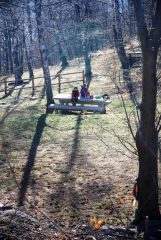 il prato con l'area pic-nic