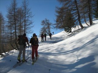Sulla strada alla fine del bosco, prima del rifugio.