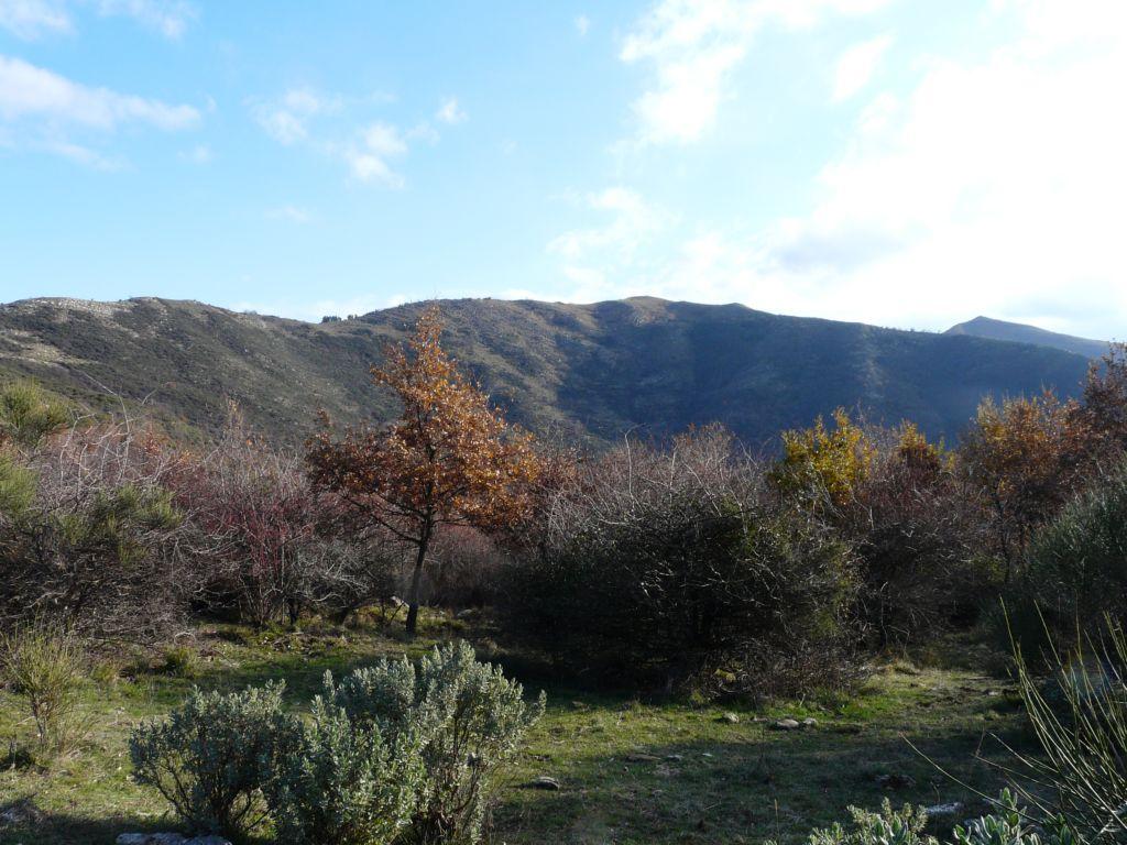 Pizzo d'Evigno in fondo a destra
